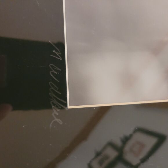 Signed M Wallace Black/white Photo Print Black Matt 16"x20" Cat Tail - Picture 5 of 5